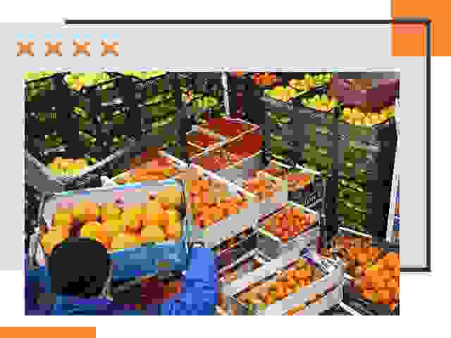 Перевозка скоропортящихся продуктов в Красногорске